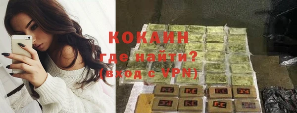 не бодяженный Бородино